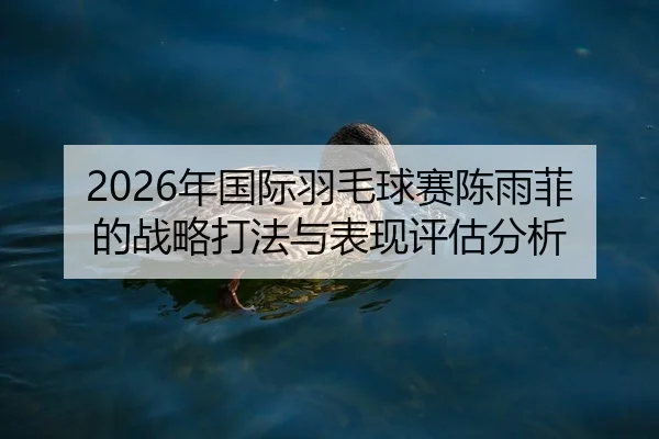 nian-guo-ji-yu-mao-qiu-sai-chen-yu-fei-de-zhan-lve-da-fa-yu-biao-xian-ping-gu-fen-xi-1-518.jpg