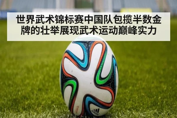 世界武术锦标赛中国队包揽半数金牌的壮举展现武术运动巅峰实力